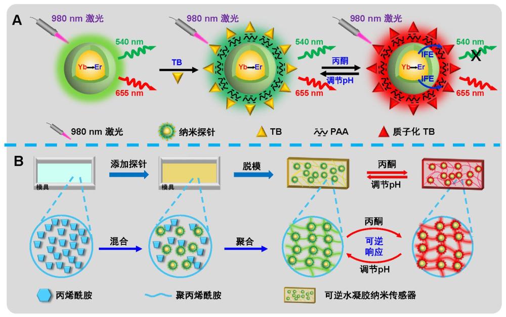 丙酮檢測用可逆無背景水凝膠納米傳感器及智能傳感平臺