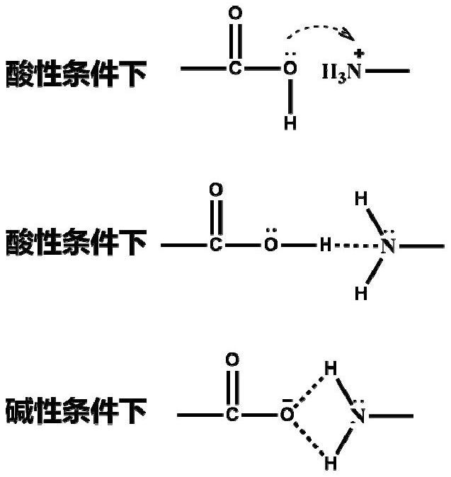 一種苯丙氨酸-天冬氨酸共聚物與聚賴氨酸離子交聯(lián)穩(wěn)定高內(nèi)相水包油乳液的方法