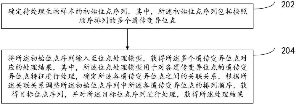 遺傳變異位點(diǎn)的處理方法及系統(tǒng)、模型訓(xùn)練方法