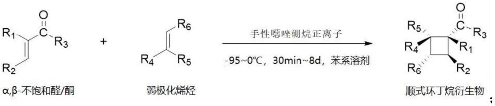 一種手性順式環(huán)丁烷衍生物及以弱極化烯烴為底物制備其的方法