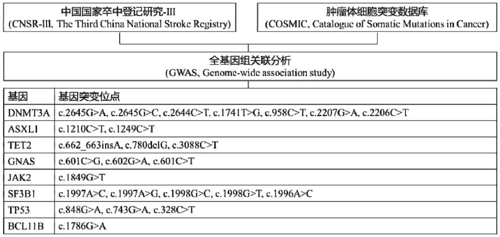 一種克隆性造血突變基因位點(diǎn)檢測試劑盒及應(yīng)用