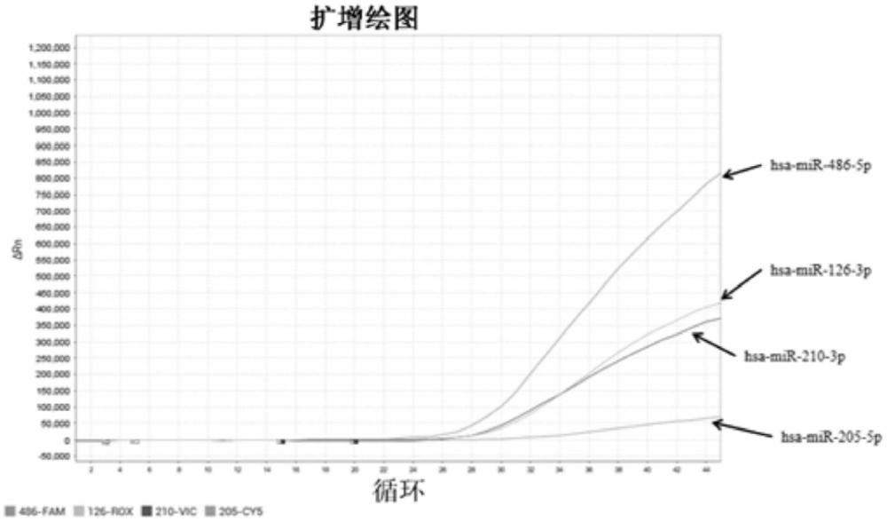 用于肺癌的miRNA的多重定量檢測的方法和試劑盒與流程