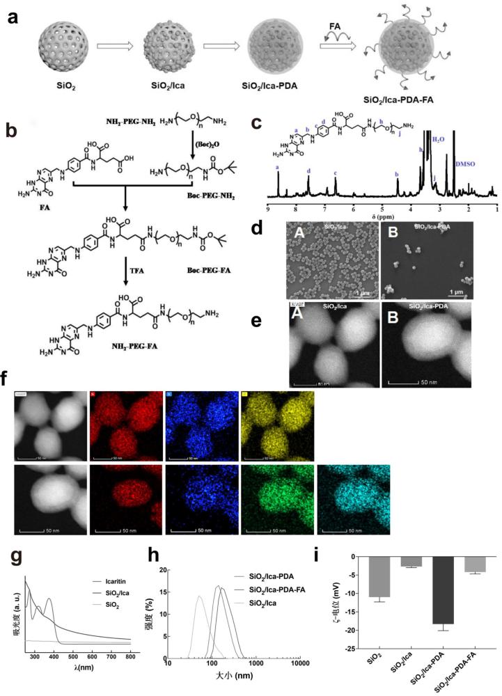 SiO2/Ica-PDA-FA多功能納米粒及其制備方法和應(yīng)用與流程