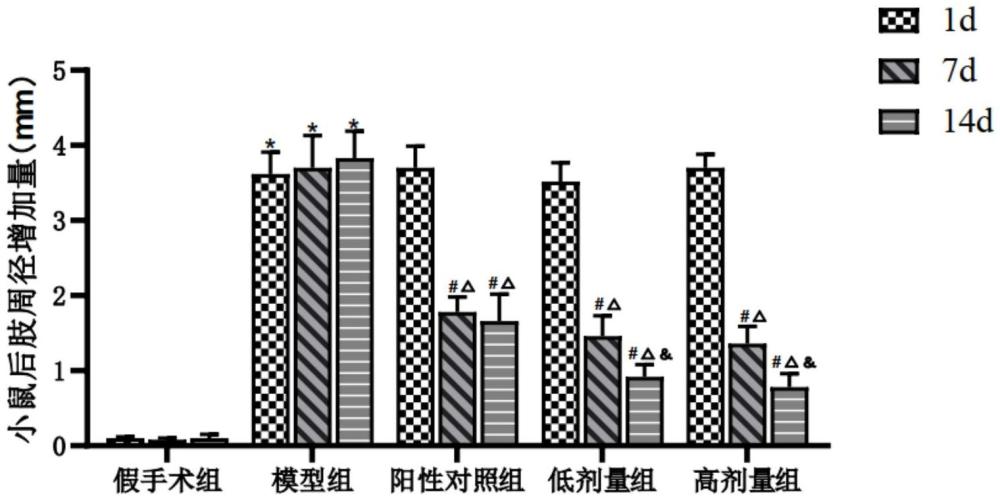 一種用于治療淋巴水腫的中藥組合物的制作方法