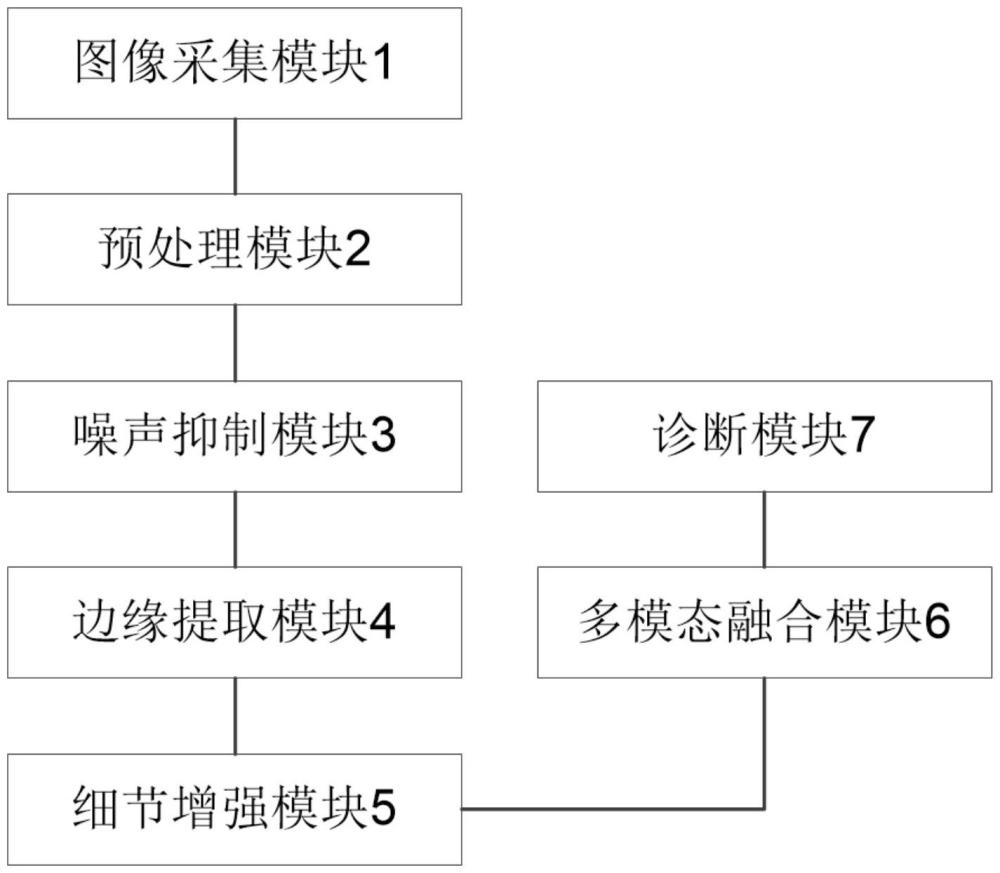 一種基于粒子群算法的光聲成像圖像處理系統(tǒng)和方法與流程