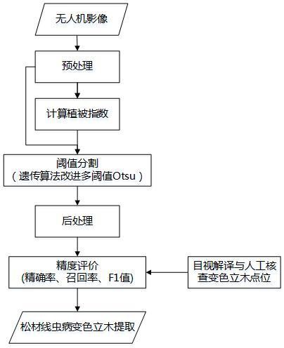 基于無(wú)人機(jī)可見(jiàn)光遙感的松材線蟲(chóng)病疫木感病階段監(jiān)測(cè)識(shí)別方法與流程