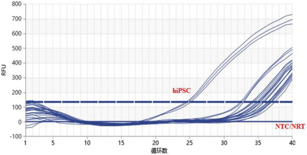 一種快速檢測(cè)hiPSC衍生細(xì)胞中hiPSC殘留的試劑盒及其應(yīng)用的制作方法