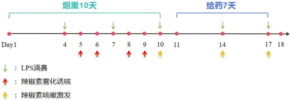 一種用于治療感染后咳嗽的藥物組合物及其制備方法