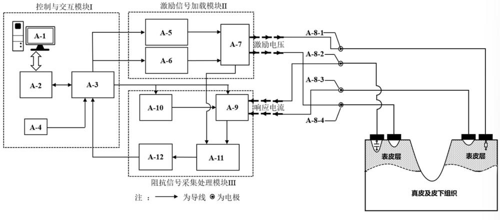 一種生物電阻抗技術(shù)動態(tài)監(jiān)測創(chuàng)面愈合面積的方法及系統(tǒng)