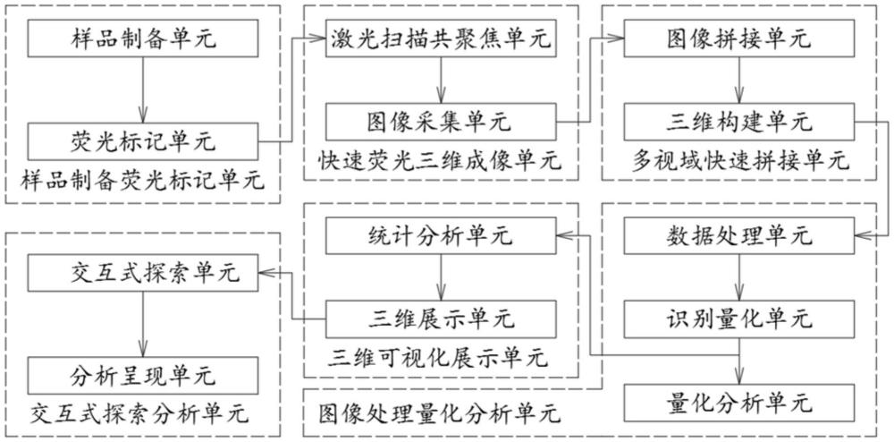 基于快速激光掃描共聚焦的微觀剩余油賦存狀態(tài)可視化量化分析系統(tǒng)