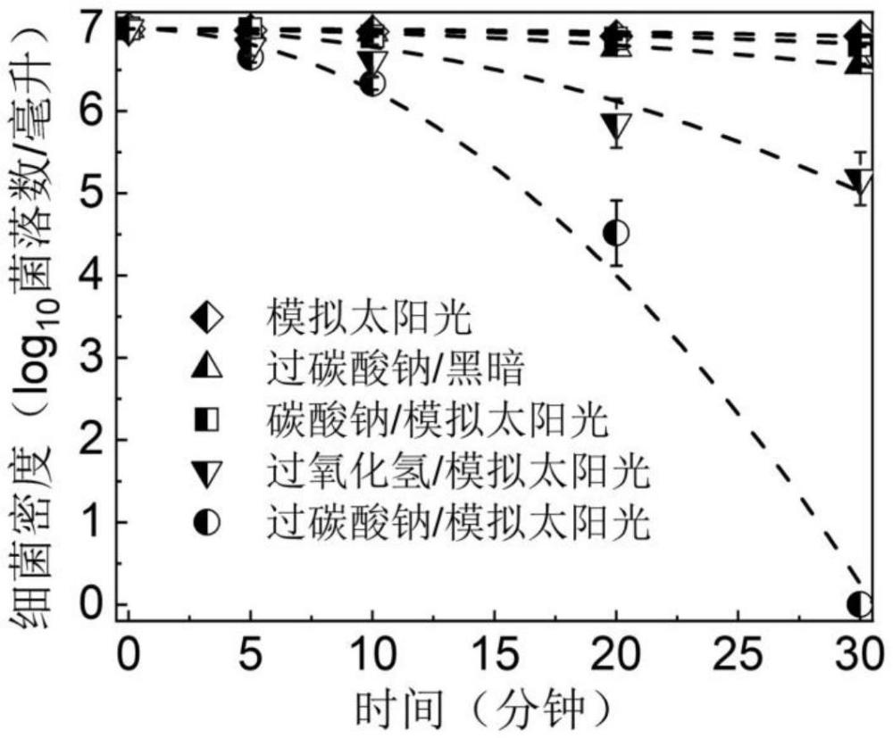 一種利用太陽光活化過碳酸滅活水體中細菌的方法及系統(tǒng)