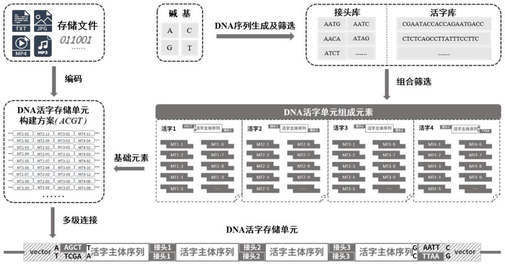 用于構(gòu)建DNA活字存儲(chǔ)單元的方法、連接接頭庫和試劑盒