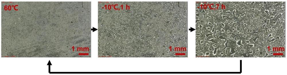 一種交聯(lián)聚乙二醇基防冰凝膠涂料、防冰凝膠以及制備方法