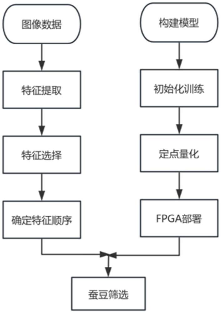 基于隨機(jī)森林的嵌入式設(shè)備蠶豆篩選方法