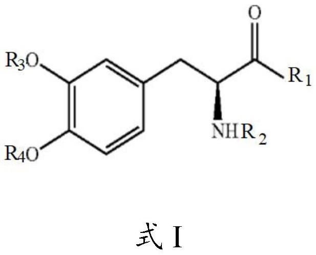 左旋多巴脂肪酸衍生物、其制劑及其在帕金森病治療中的應(yīng)用的制作方法