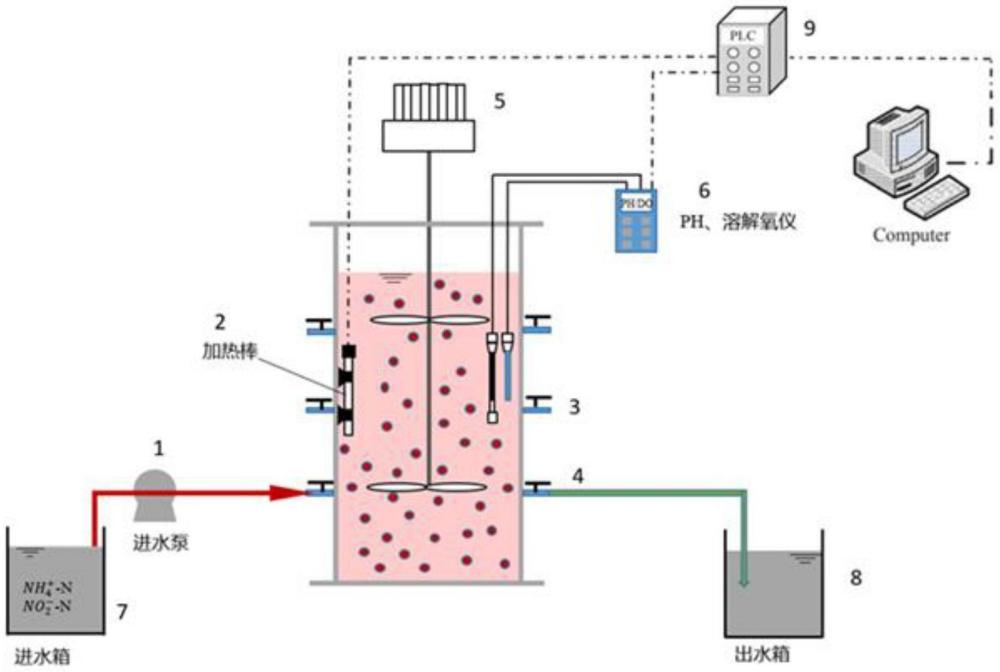 一種NLR和HRT聯(lián)合調(diào)控實現(xiàn)厭氧氨氧化菌快速富集的方法