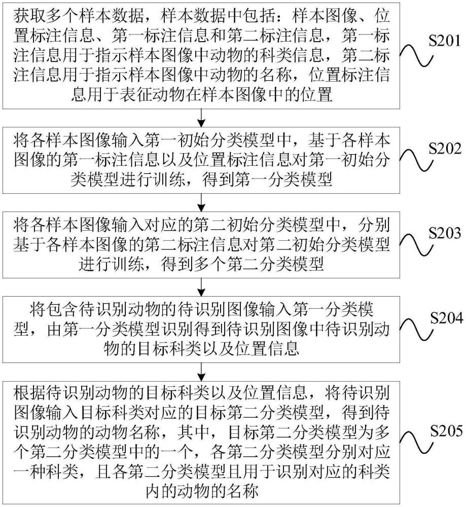 動物識別方法、裝置、設(shè)備及存儲介質(zhì)與流程