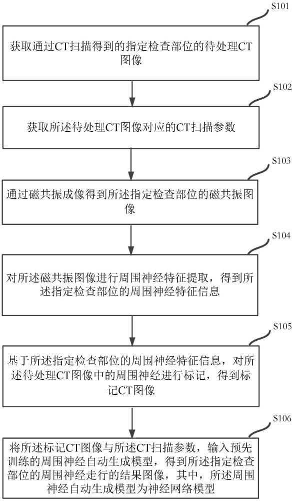 一種周圍神經(jīng)走行自動生成方法、裝置及設(shè)備