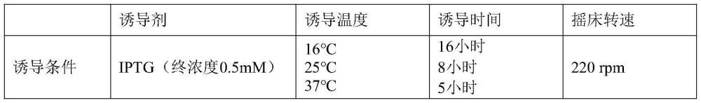 一種角蛋白CF4、制法和其藥物組合物與用途