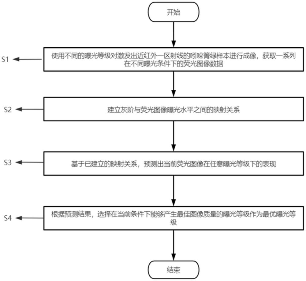 一種用于近紅外一區(qū)熒光成像的自動(dòng)曝光方法與流程