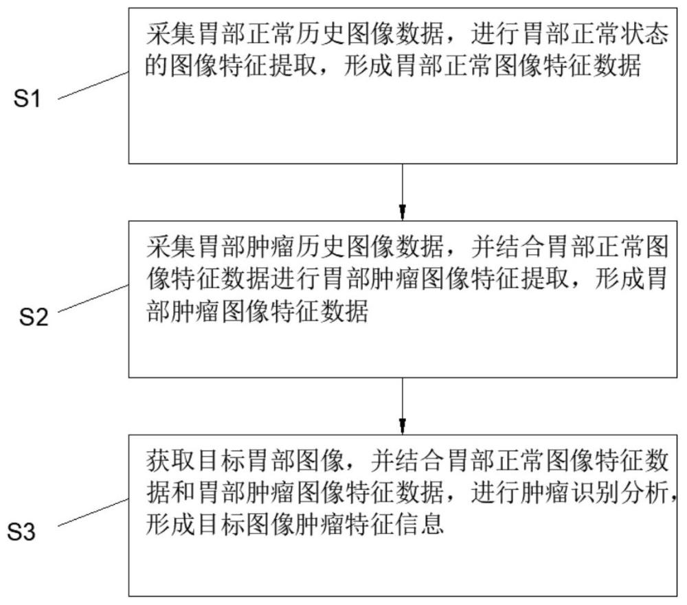 一種胃部腫瘤細胞圖像提取方法及系統(tǒng)