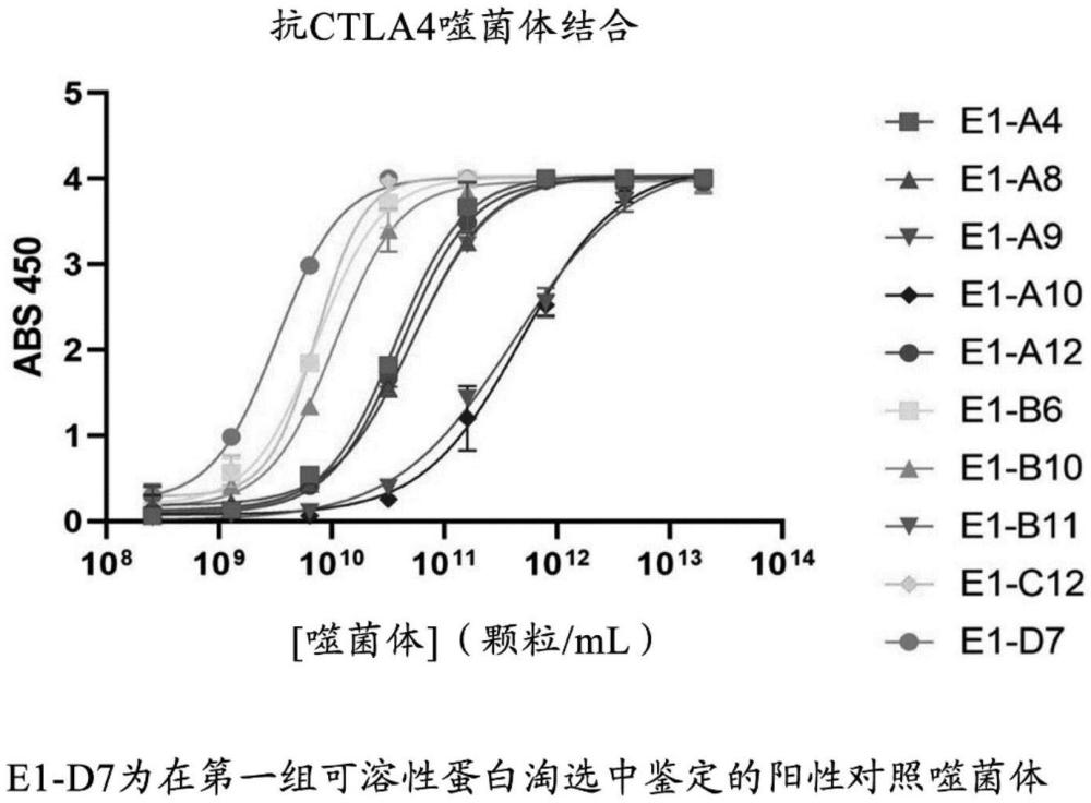 針對(duì)CTLA-4的抗體及其使用方法與流程