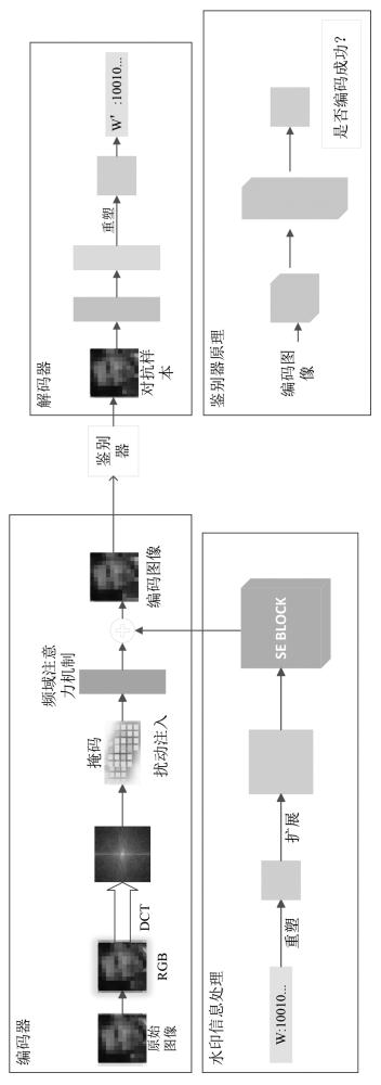 一種基于頻率限制的雙重人臉偽造主動(dòng)防御方法