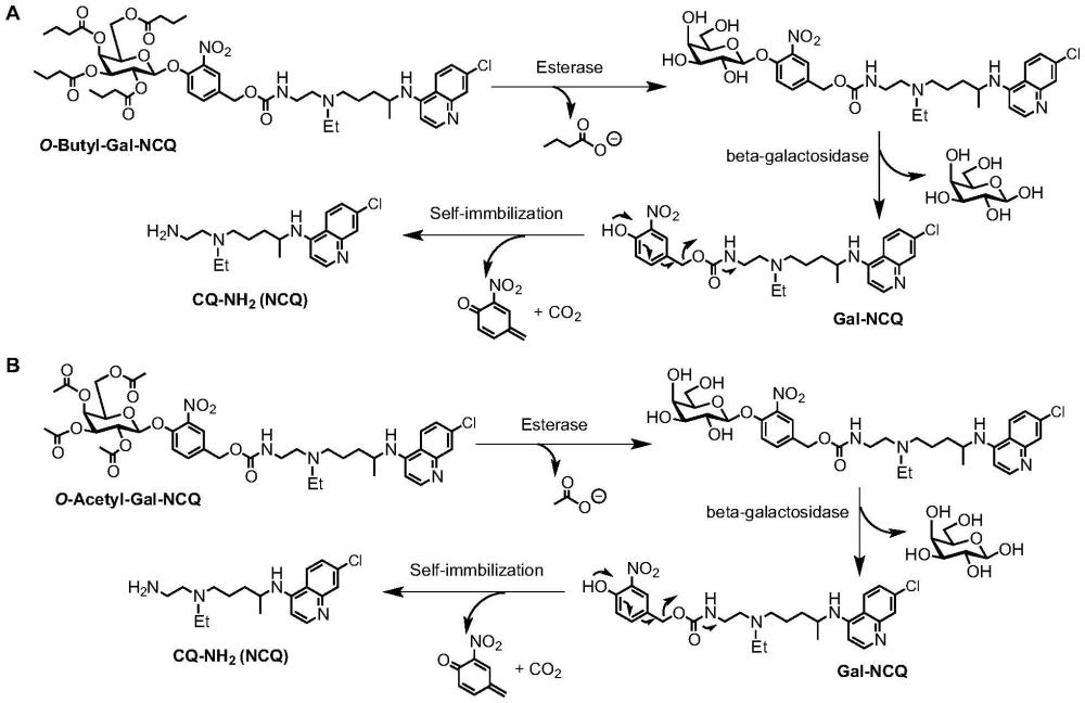一種半乳糖掩蔽氨基喹啉化合物及其應(yīng)用