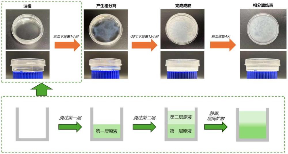 一種梯度結構生物醫(yī)用水凝膠的制備方法