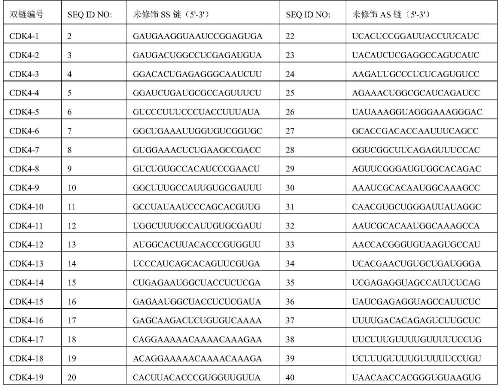 靶向CDK4的siRNA和siRNA綴合物及其醫(yī)藥用途的制作方法