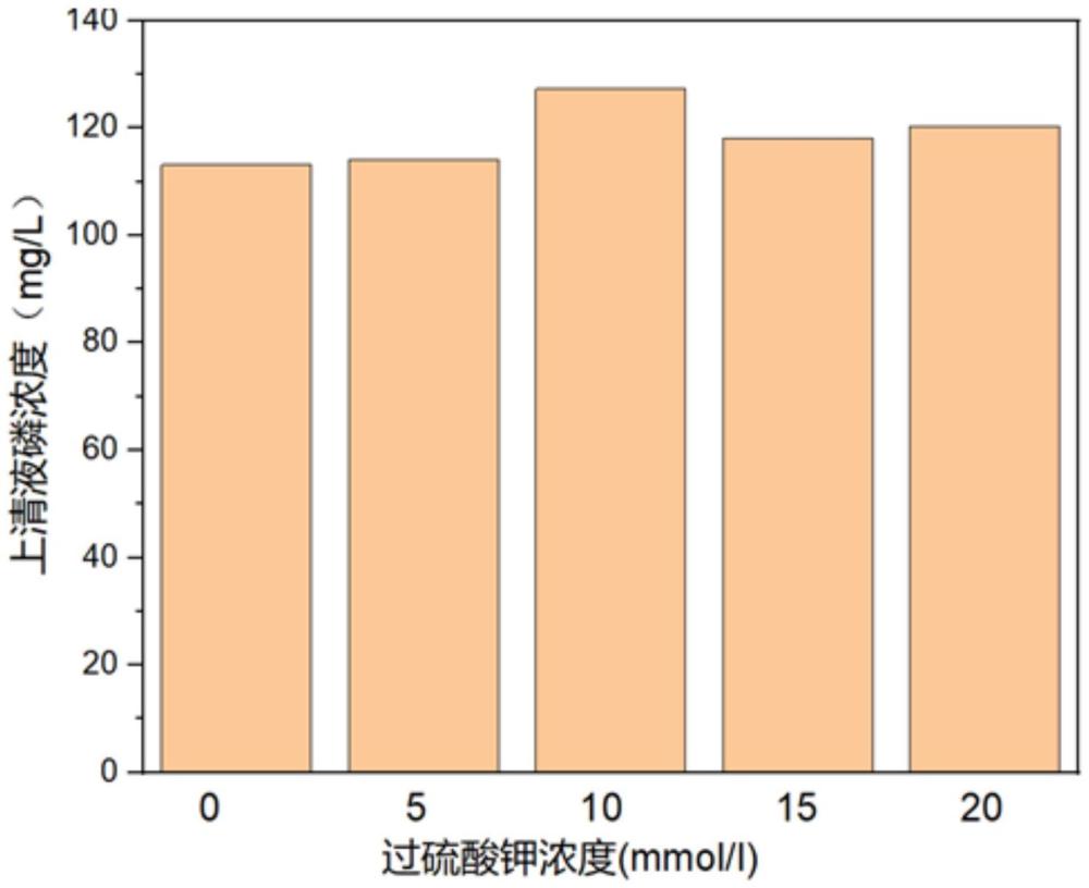 一種過硫酸鉀與EDTA協(xié)同強(qiáng)化剩余污泥磷釋放的方法