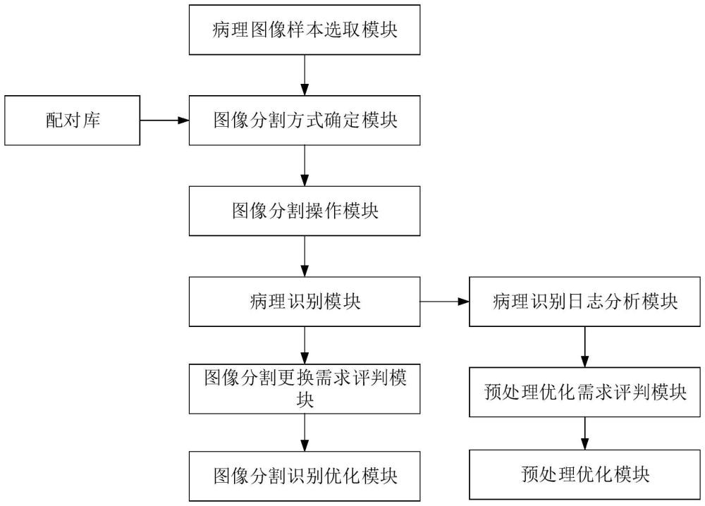 一種基于圖像處理技術(shù)的病理圖像分析系統(tǒng)及方法與流程