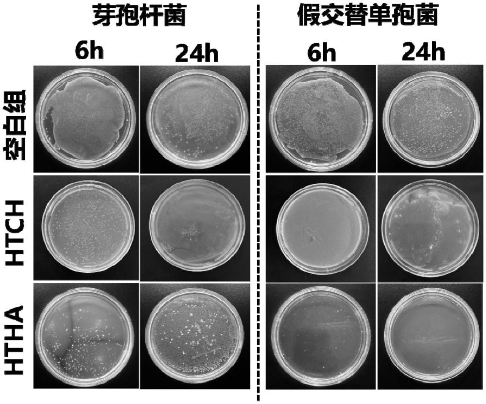 防污納米填料及其制備方法