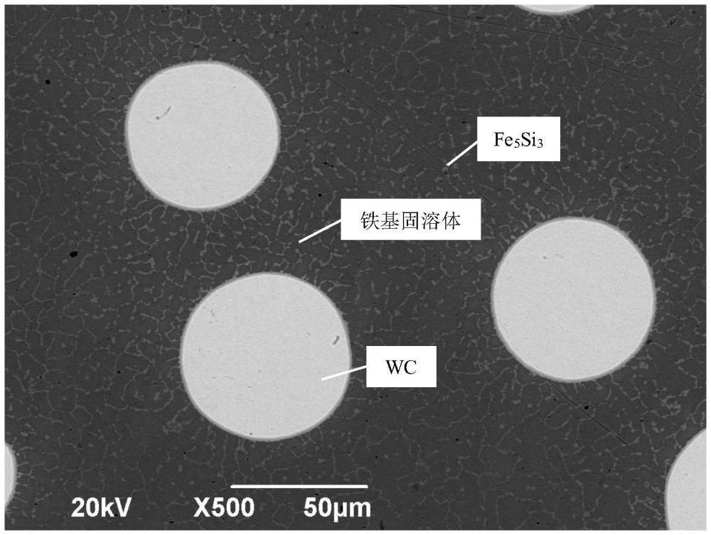 高溫耐磨耐蝕Fe-Cr-W-Si-C合金材料及應(yīng)用的制作方法