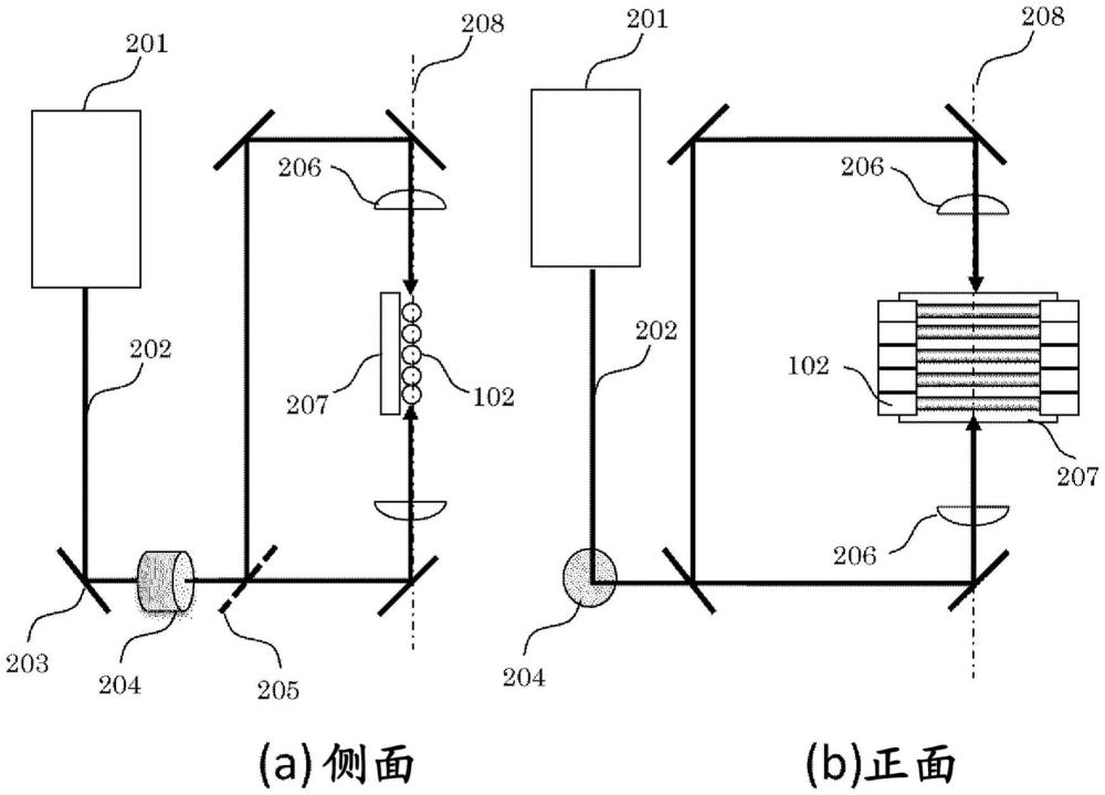 電泳裝置的制作方法