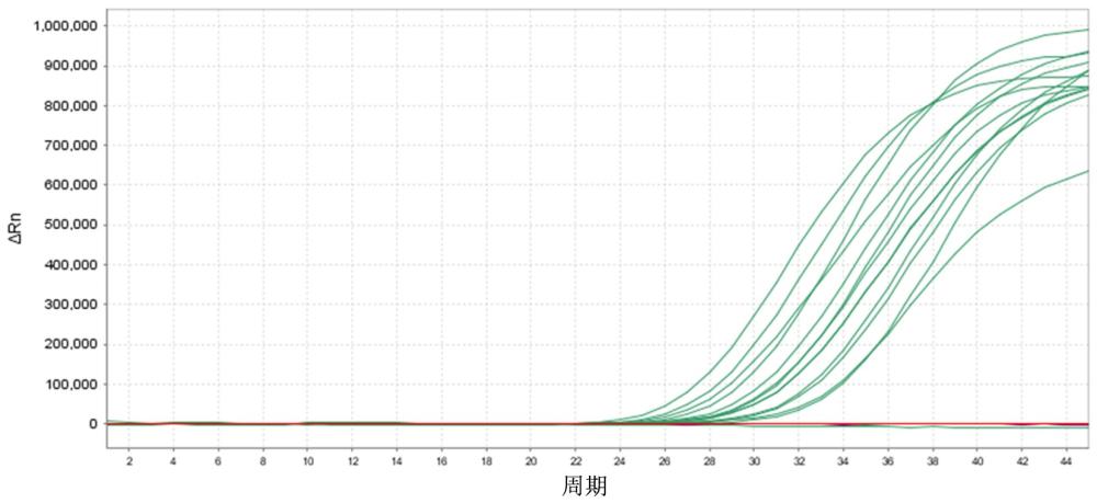 一種生殖支原體、解脲脲原體和沙眼衣原體聯(lián)合檢測的引物探針組和試劑盒的制作方法