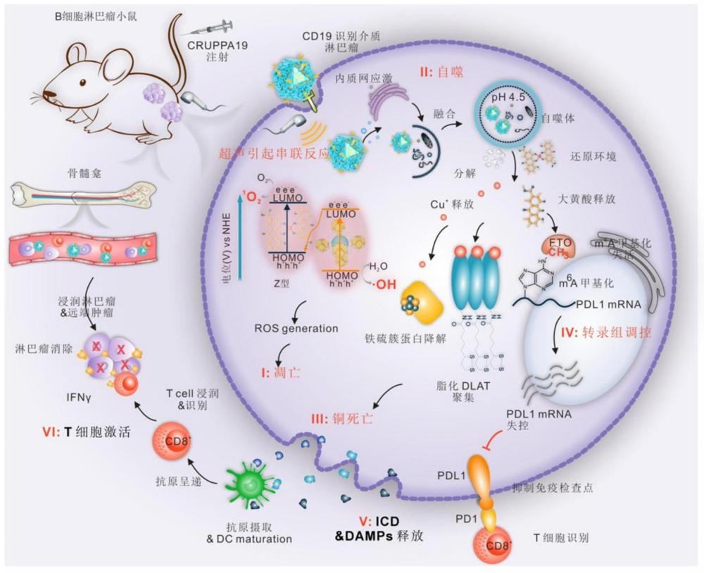 一種基于MOFs的超聲敏化納米材料及其制備方法和應(yīng)用