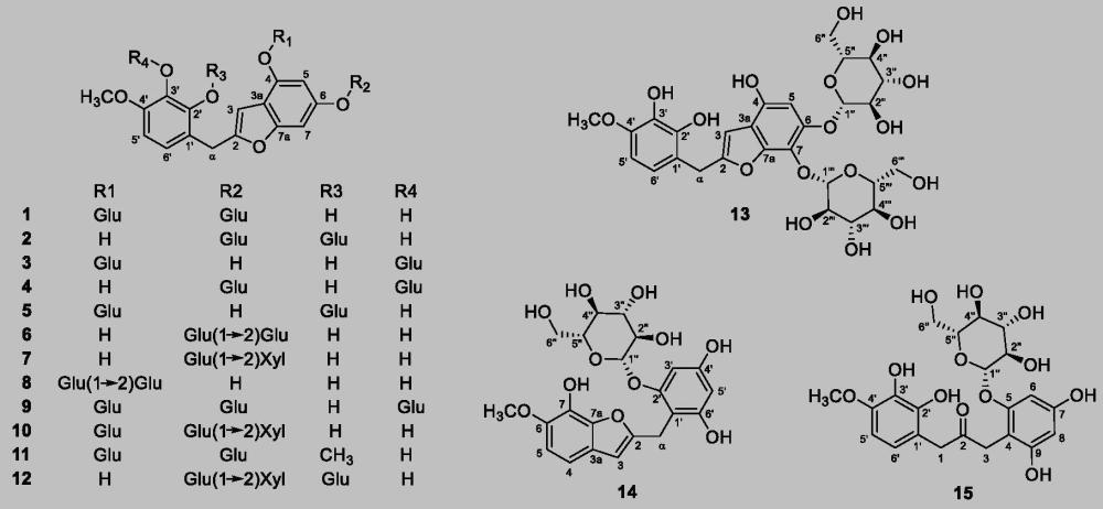 2-芐基苯并呋喃類和二芳基丙酮類化合物或其藥學(xué)上可接受的鹽及其應(yīng)用的制作方法