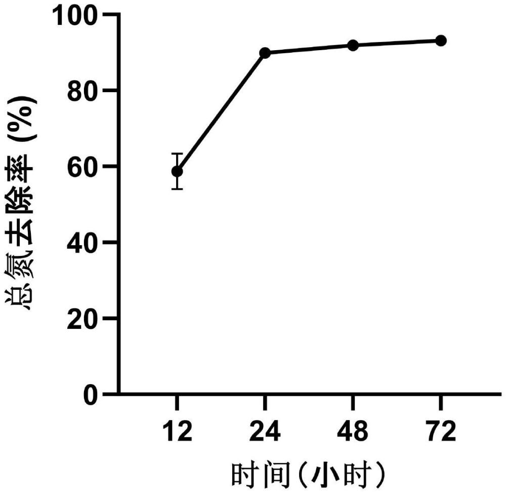 一種柵藻F1及其應(yīng)用、柵藻藻液及其培養(yǎng)方法和應(yīng)用、含氮廢水的處理方法