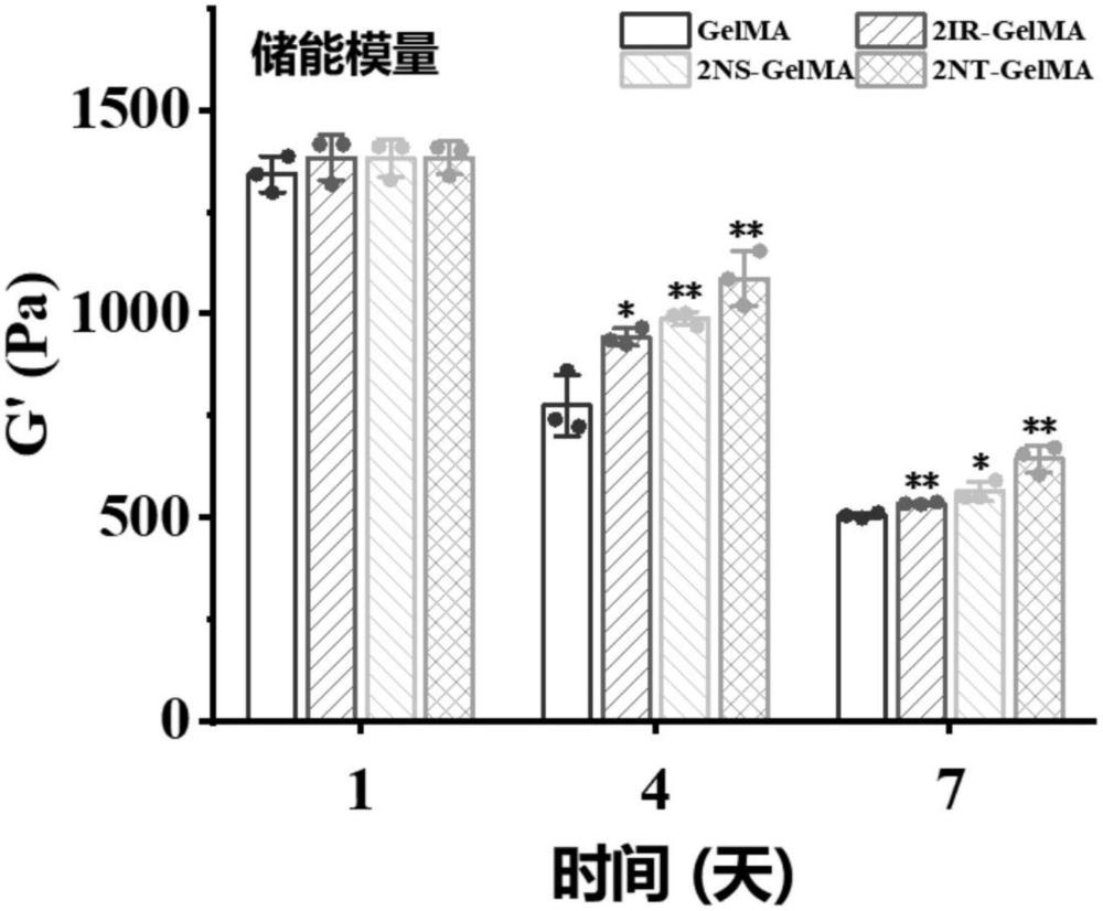 一種生物能量激活的心肌補(bǔ)片及其制備方法和應(yīng)用