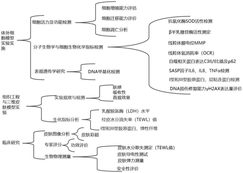 一種護膚品抗衰老效果多維度綜合檢測系統(tǒng)的制作方法