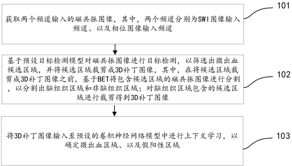 大腦微出血的識別方法及裝置與流程