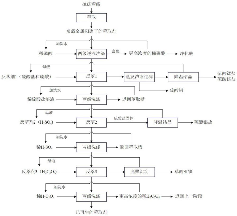 從濕法磷酸中梯級回收金屬陽離子的方法