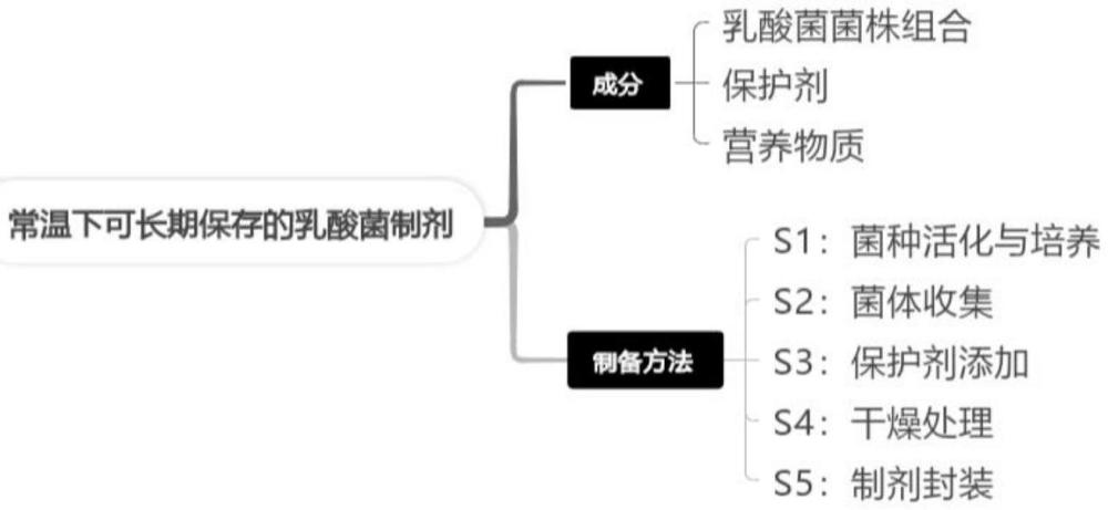 常溫下可長期保存的乳酸菌制劑及其制備方法