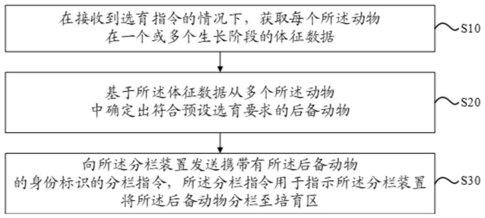 一種動物選育方法、電子設(shè)備、計算機可讀存儲介質(zhì)及計算機程序產(chǎn)品與流程