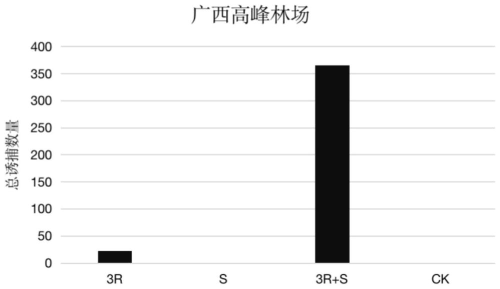 一種杉棕天牛的引誘劑