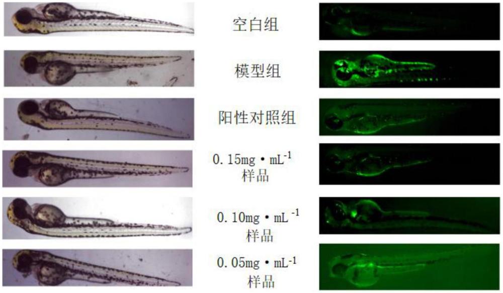 玫瑰精油芳香組合物及其應(yīng)用的制作方法