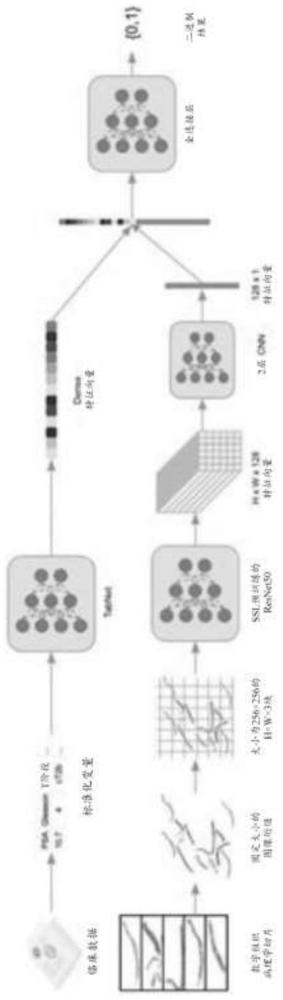通過(guò)深度學(xué)習(xí)對(duì)癌癥進(jìn)行數(shù)字病理學(xué)評(píng)估的方法和系統(tǒng)與流程