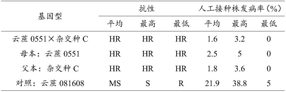 一種利用割手密聚合體獲得高抗黑穗病甘蔗品種的方法