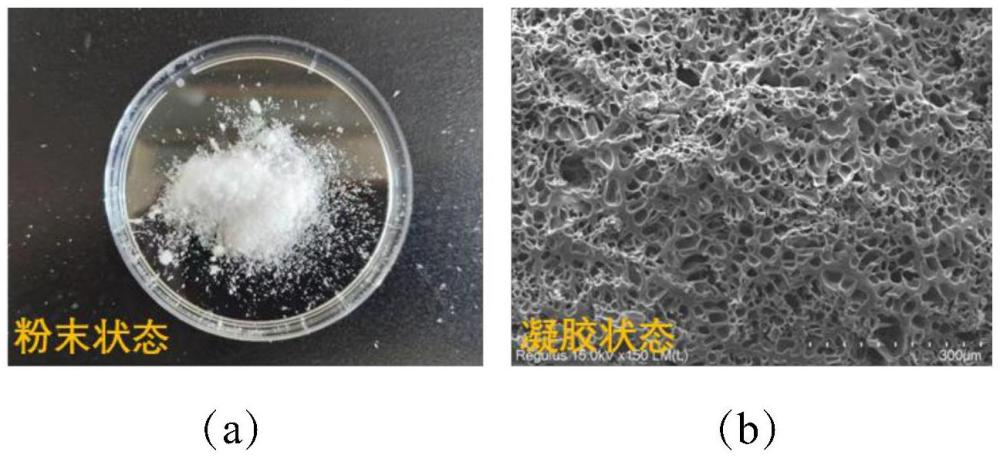 一種聚丙烯酸基粉末傷口敷料的制備方法